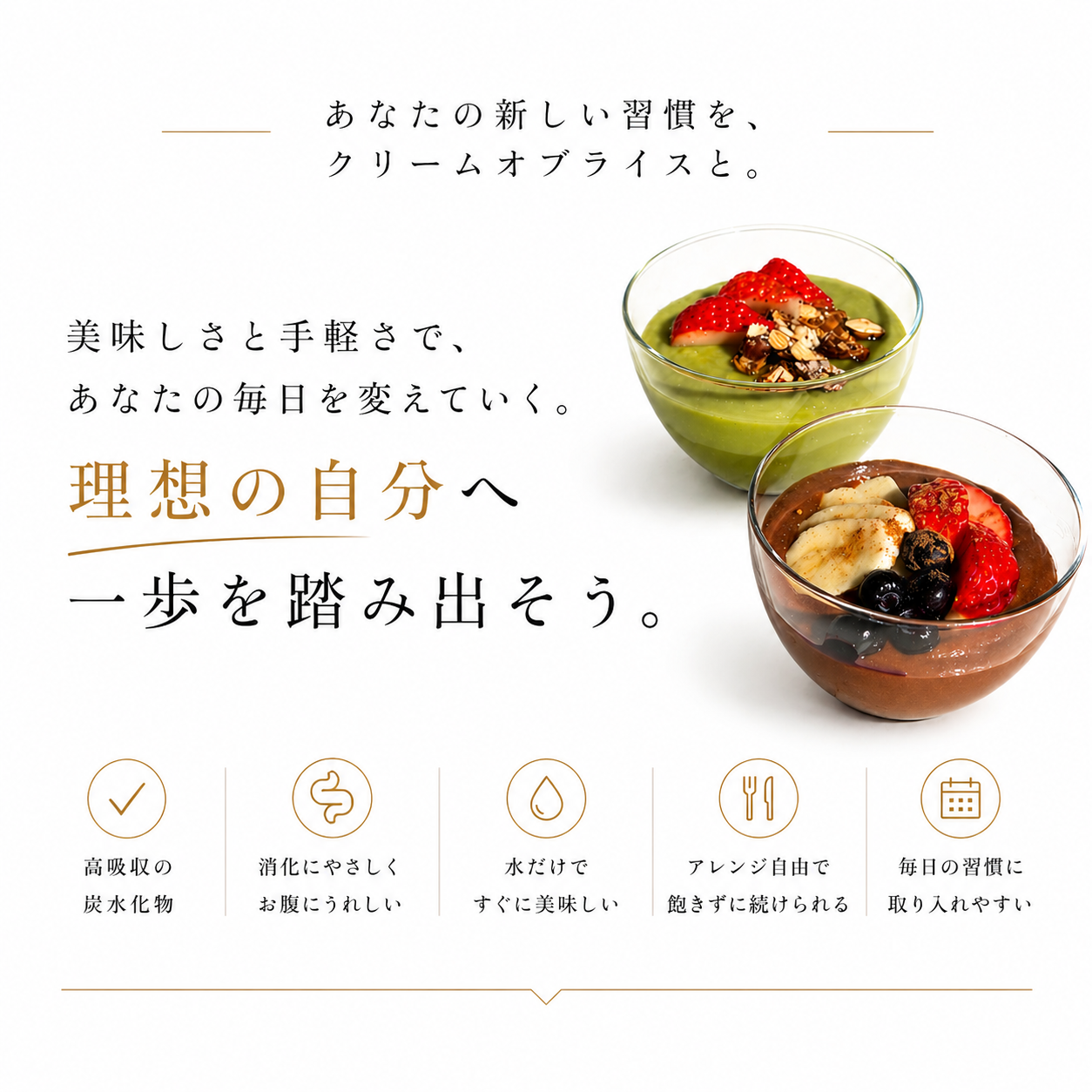 【応援キャンペーン20%OFF】クリームオブライス（インスタント）1kg