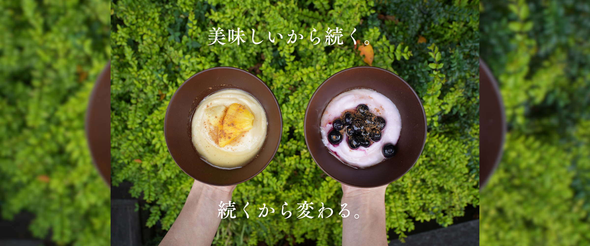 YAOKI クリームオブライス